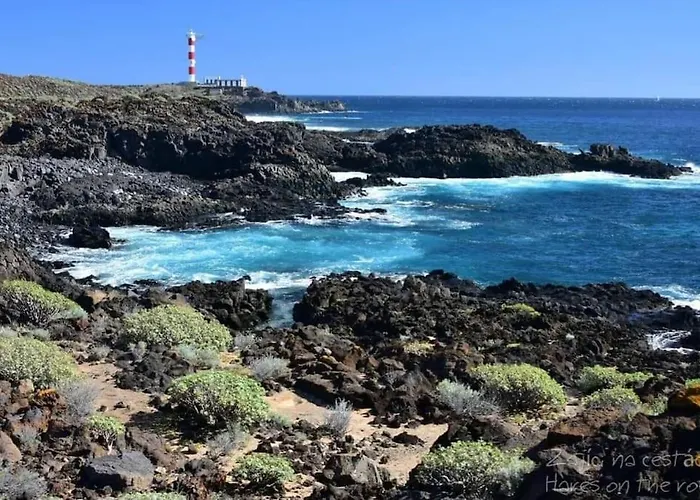 Magic Garden And Ocean View
